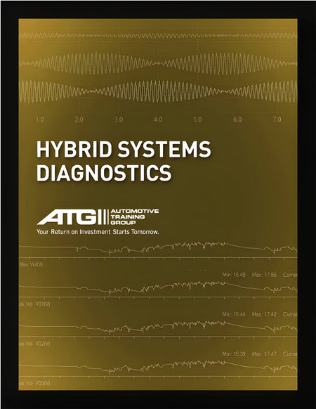 Hybrid Systems Diagnostics
